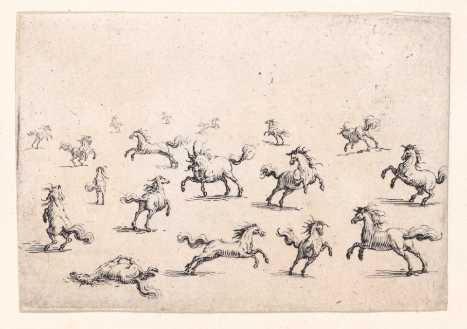 Chevaux Courant en Liberte Met DP888258