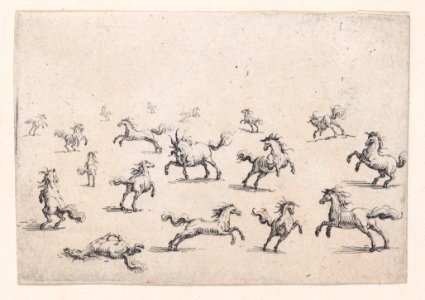 Chevaux Courant en Liberte Met DP888258