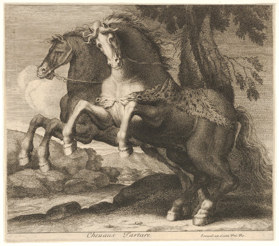 Chevaux Tartare MET DP832467