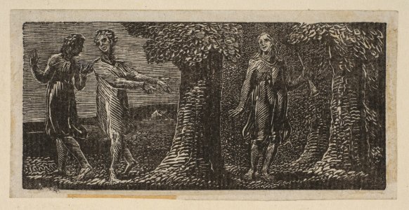 Colinet Mocked by Two Boys, from Thornton's Pastorals of Virgil MET DP816568