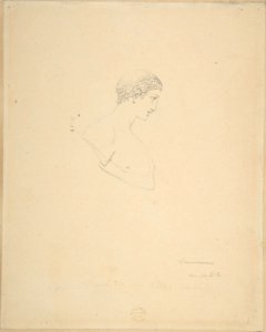 Classical Male Bust in Profile MET DP808061