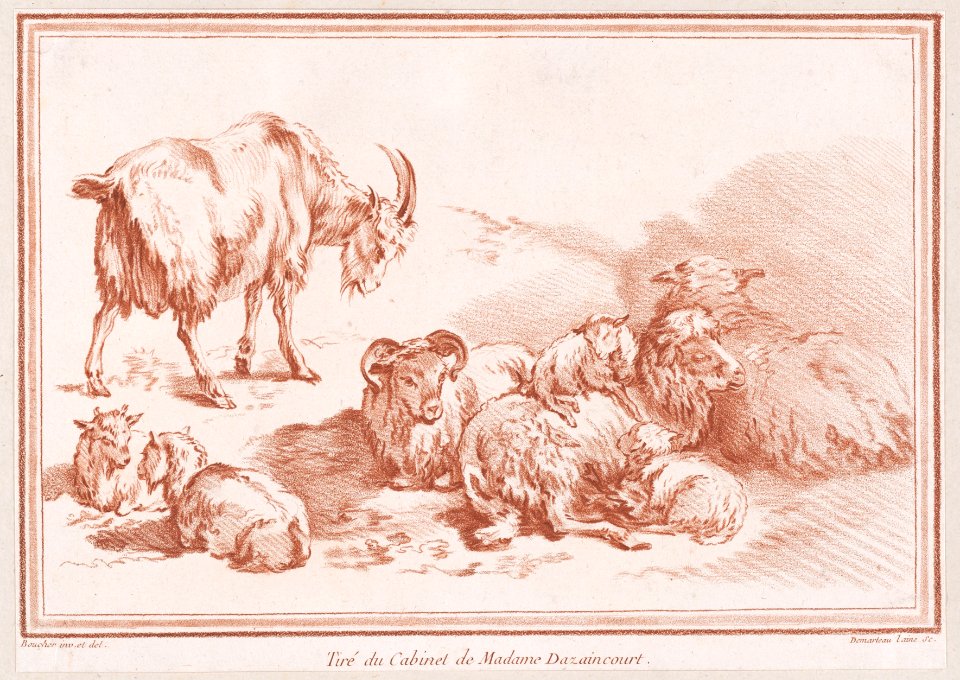 Chèvre, chevreaux et moutons Met DP889546