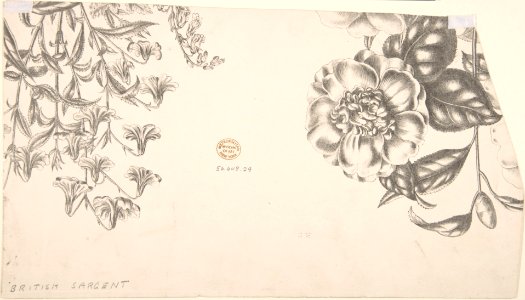 Caricatures MET DP801581