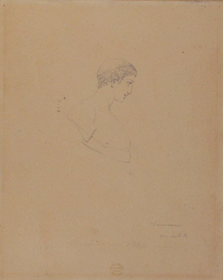 Classical Male Bust in Profile MET 87.12.172