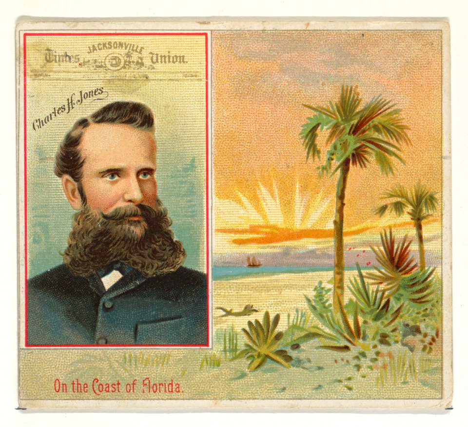 Charles H. Jones, Jacksonville Times Union, from the American Editors series (N35) for Allen & Ginter Cigarettes MET DP838884