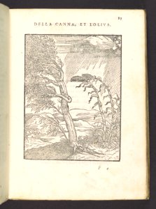 Cento Favole Morali (100 moral fables) MET DP108990