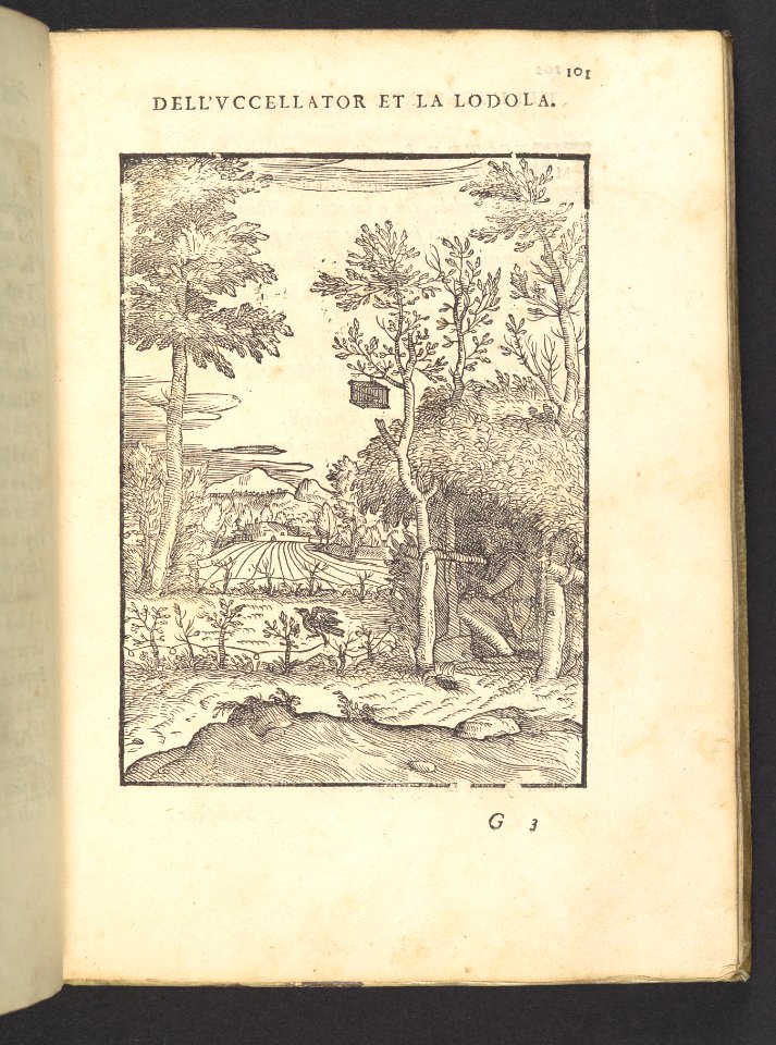 Cento Favole Morali (100 moral fables) MET DP108991