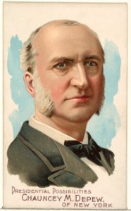 Chauncey M. Depew of New York, from the Presidential Possibilities series (N124) issued by Duke Sons & Co. to promote Honest Long Cut Tobacco MET DPB873726