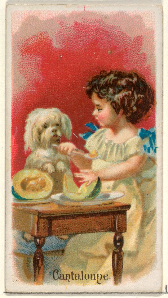 Cantaloupe, from the Fruits series (N12) for Allen & Ginter Cigarettes Brands MET DP834609