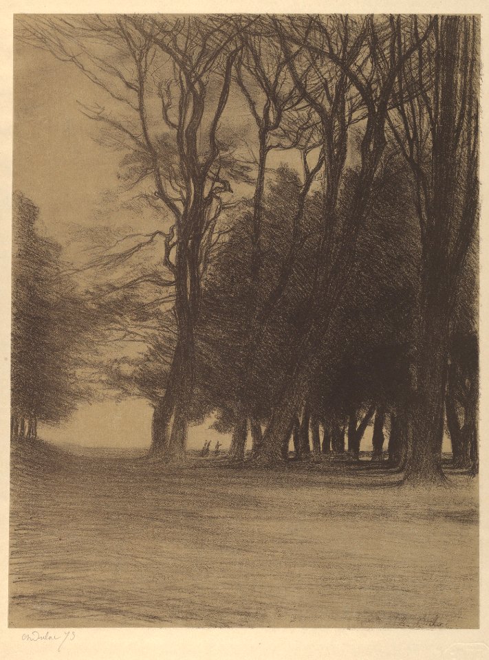 Cluster of Trees (Bouquet d'arbres) MET DP838014