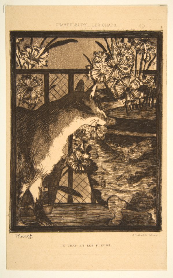 Cat and Flowers. Illustration to The Cats by Champfleury MET DP815324