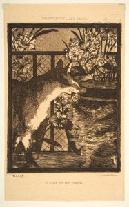 Cat and Flowers. Illustration to The Cats by Champfleury MET DP815324