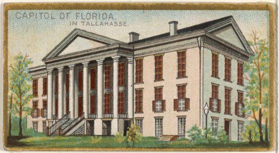 Capitol of Florida in Tallahasse, from the General Government and State Capitol Buildings series (N14) for Allen & Ginter Cigarettes Brands MET DP834735