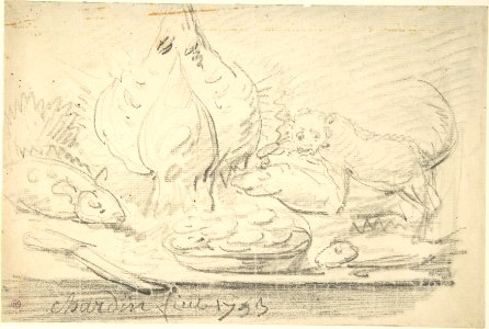 Cat Surveying Fish and Fowl on a Table MET DP805582