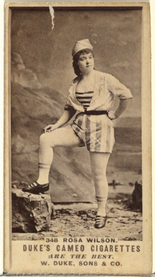 Card Number 348, Rosa Wilson, from the Actors and Actresses series (N145-5) issued by Duke Sons & Co. to promote Cameo Cigarettes MET DP840183