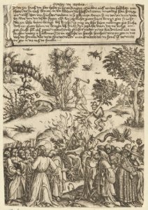 Christ Denouncing False Prophets and Pharisees- Illustration to Matthew 7- 15-21 MET DP835948