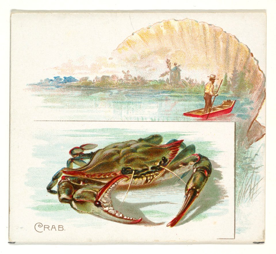Crab, from Fish from American Waters series (N39) for Allen & Ginter Cigarettes MET DP839071