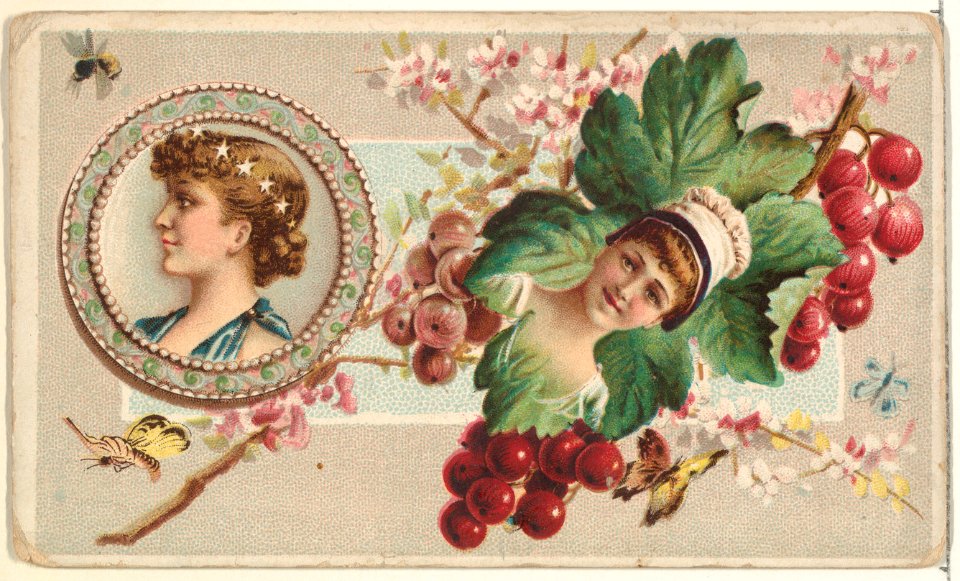 Currants and Serving Plate, from the Miniature Novelties series (N120) issued by Duke Sons & Co. to promote Honest Long Cut Tobacco MET DPB873714