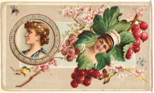 Currants and Serving Plate, from the Miniature Novelties series (N120) issued by Duke Sons & Co. to promote Honest Long Cut Tobacco MET DPB873714