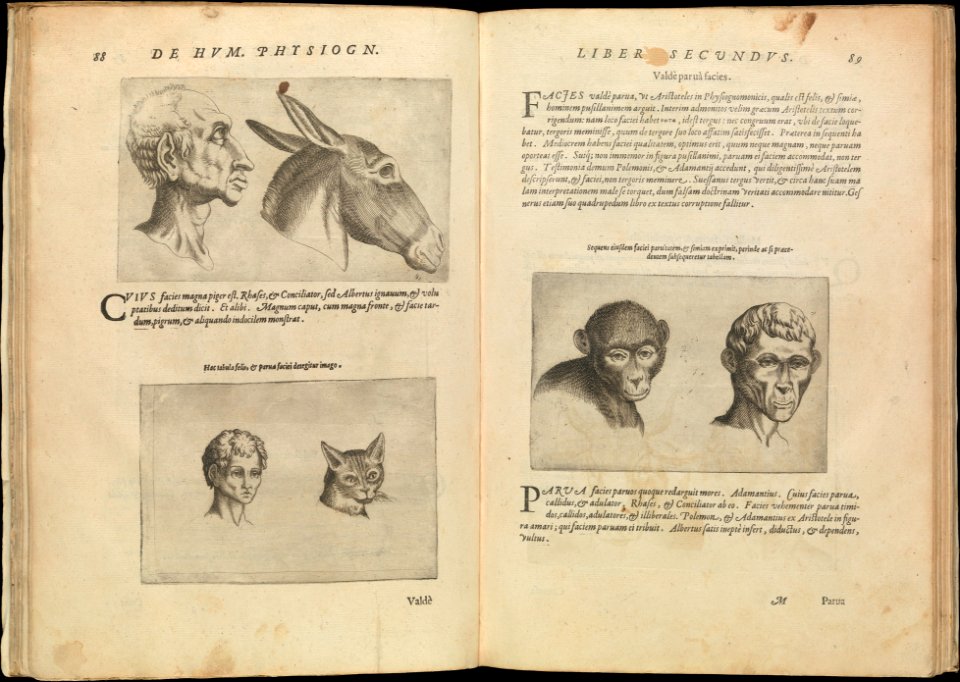 De Humana Physiognomonia. Libri III MET DP242799