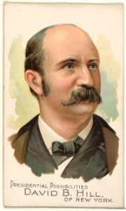 David B. Hill of New York, from the Presidential Possibilities series (N124) issued by Duke Sons & Co. to promote Honest Long Cut Tobacco MET DPB873734