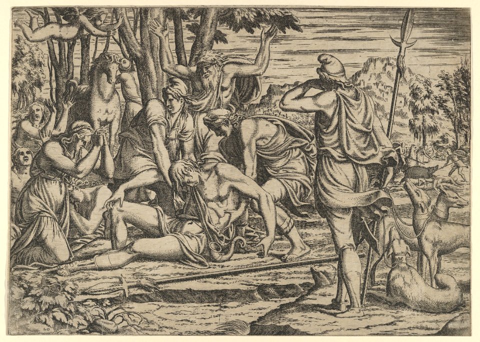 Death of Adonis MET DP855057