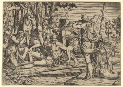Death of Adonis MET DP855057