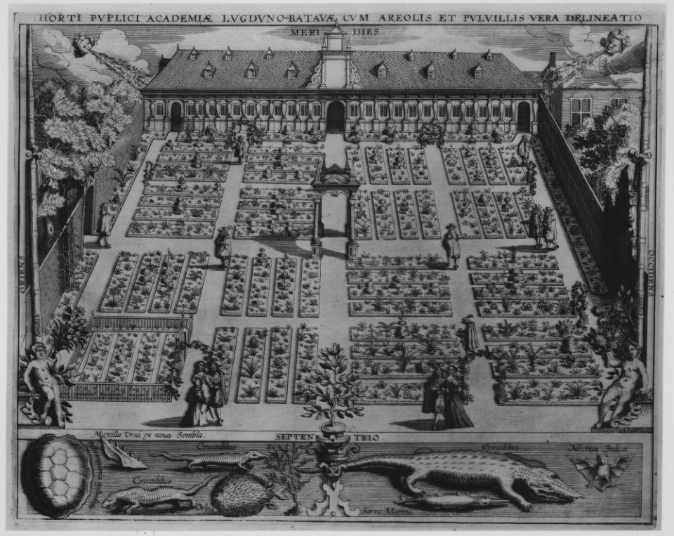 Compendium of several print series of architecture, gardens and furniture. MET MM75738