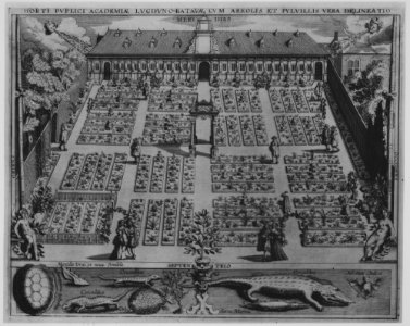 Compendium of several print series of architecture, gardens and furniture. MET MM75738