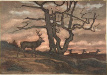 Deer and Tree Against Sunset MET DP805156