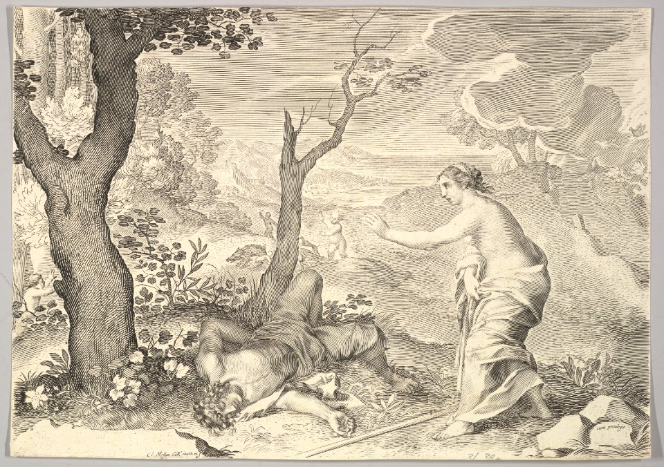 Death of Adonis MET DP822317