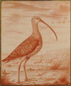 Curlews and Ducks MET 1984.390
