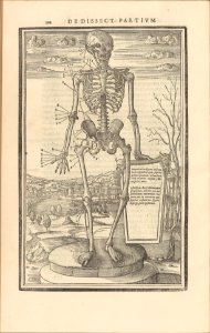 De dissectione partium corporis humani libri tres MET DP257234