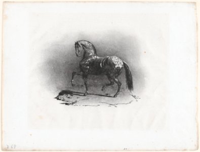 Dappled Horse MET DP874613
