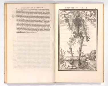 De dissectione partium corporis humani libri tres MET DP345239