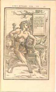 De dissectione partium corporis humani libri tres MET DP257233
