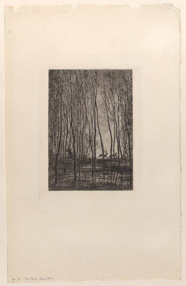 Deer in the Woods Met DP884920