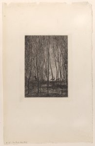 Deer in the Woods Met DP884920