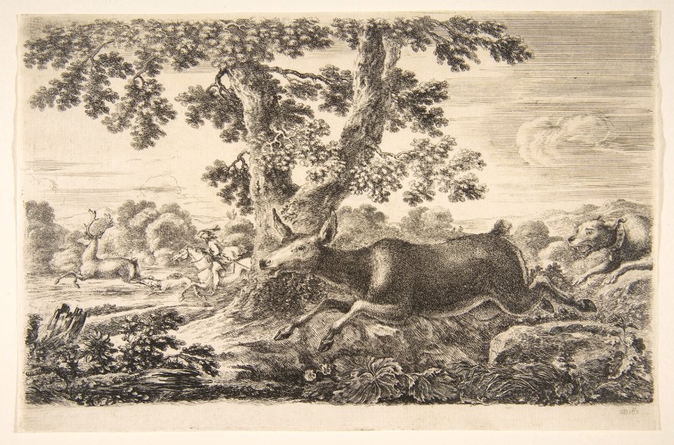 Deer hunt, from 'Animal hunts' (Chasses à différents animaux) MET DP817807