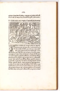 De Mulieribus claris MET DP318954