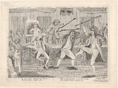Congressional Pugilists MET DP876932