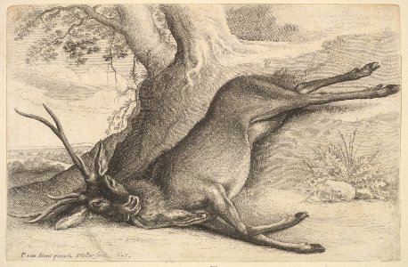 Dead stag MET DP823979