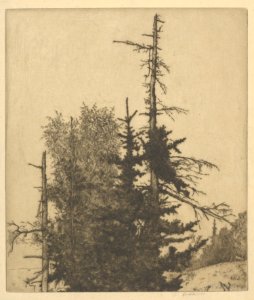 Dead Tops MET DP845661