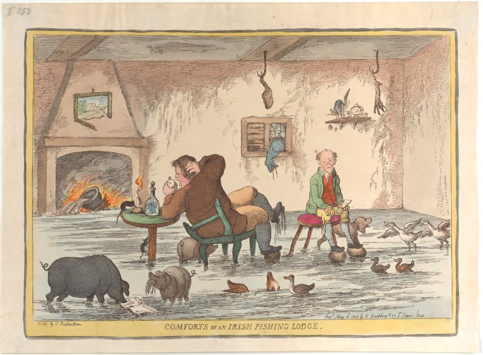 Comforts of an Irish Fishing Lodge MET DP883805