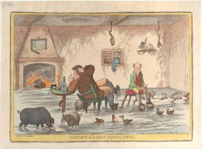 Comforts of an Irish Fishing Lodge MET DP883805