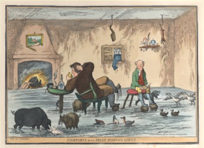 Comforts of an Irish Fishing Lodge MET DP883800