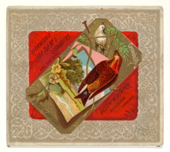Crossbill, from the Birds of America series (N37) for Allen & Ginter Cigarettes MET DP838972