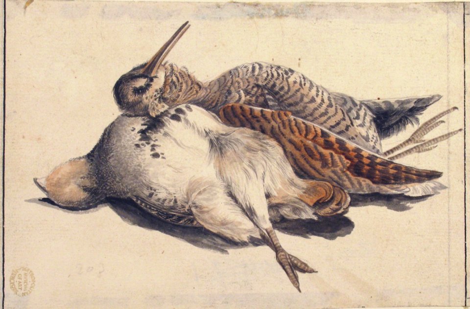 Dead Birds. MET 80.3.203