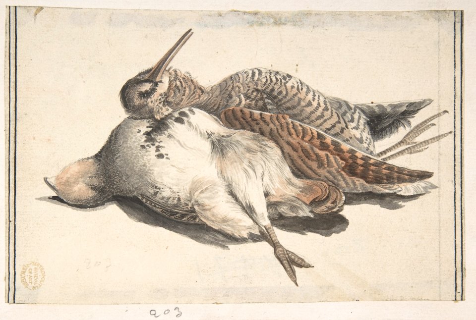 Dead Birds. MET DP809435