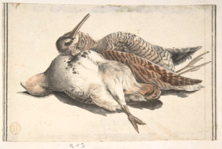 Dead Birds. MET DP809435